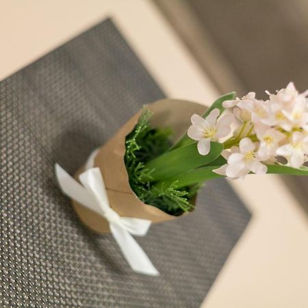 Apartment Dositejeva 13 베오그라드 외부 사진